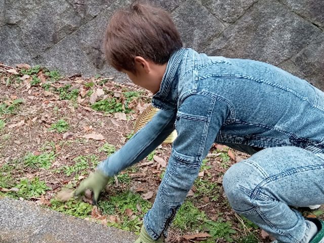 隅々まで綺麗に草むしりを致します！面倒くさいお庭の草むしりもお任せ下さい！