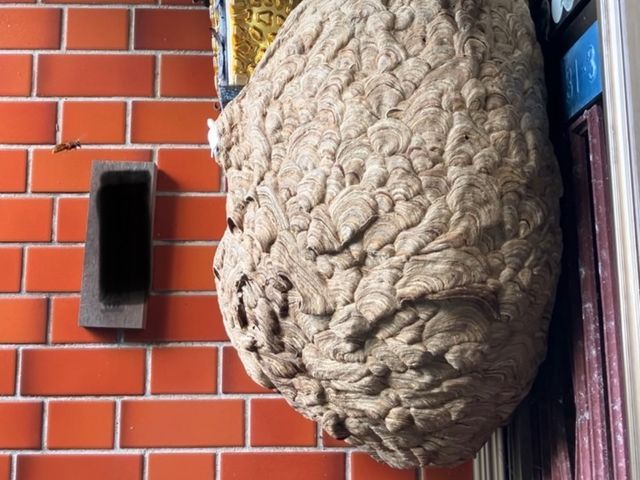 プロの技術でご満足いただけるように心を込めて作業いたします