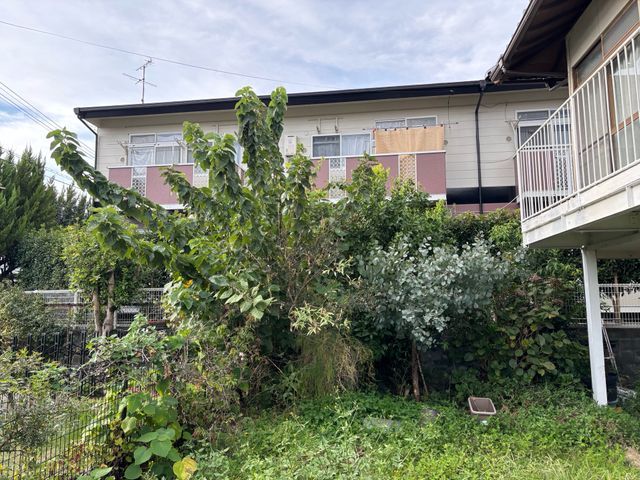 庭の木、伐採お任せください！