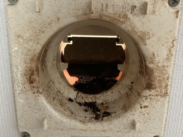 伊勢崎市のコウモリ駆除なら！糞被害・騒音対策もお任せ｜無料現地調査＆見積り