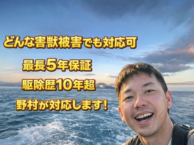 【4月はコウモリ動きはじめます】そろそろ駆除作戦立てませんか！口コミ掲載中！