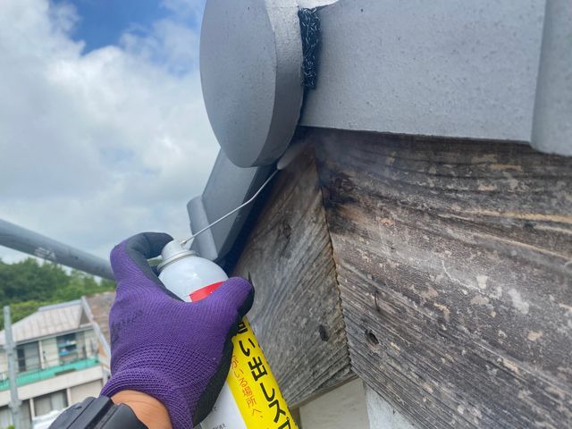 【コウモリ駆除歴10年！】施工前後の写真有 ◎他社に負けない施工の仕上がり◎