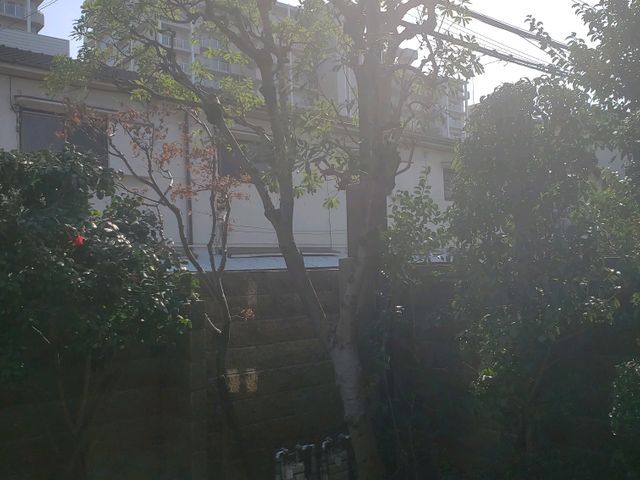 造園業16年 庭園管理士 樹木のその時の状態に適した施工を行います よっすぃ 農園緑化事業部の庭木の剪定 くらしのマーケット