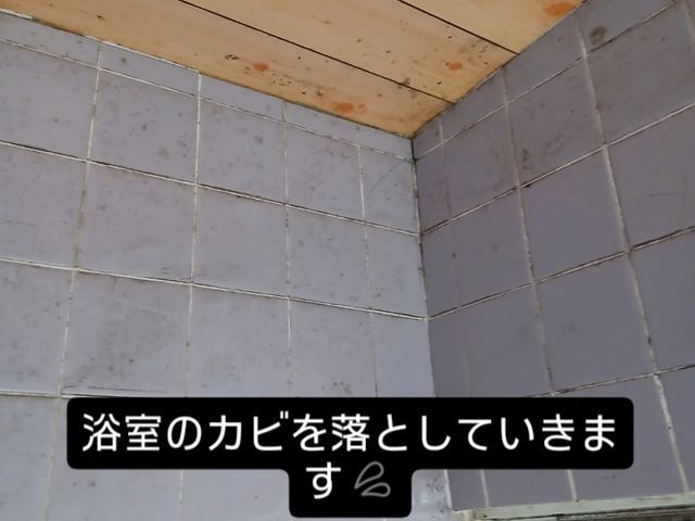 浴室クリーニング【女性スタッフ必ず同行】大手清掃会社勤務経験有り