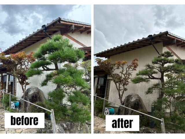 あなたの庭に添った庭づくり　造園歴15年の庭師在籍！　確かな剪定をお届けします♪