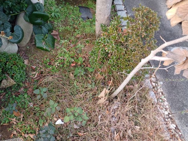 プロの技術でご満足いただけるように心を込めて作業いたします