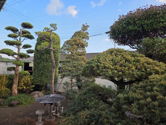 【一級造園施工管理技士】17年の実績◎植物に優しい理想の庭を再現