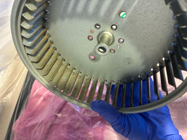 女性スタッフ同行可能