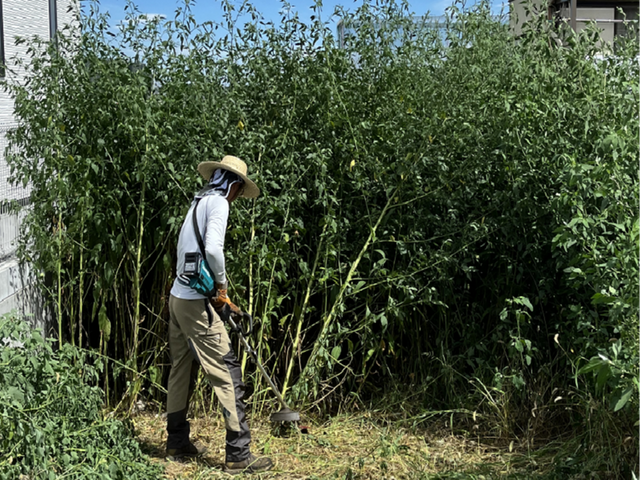 口コミ賞受賞店の草刈り！大型機械草刈り対応可！広い場合は計算方法変わります！