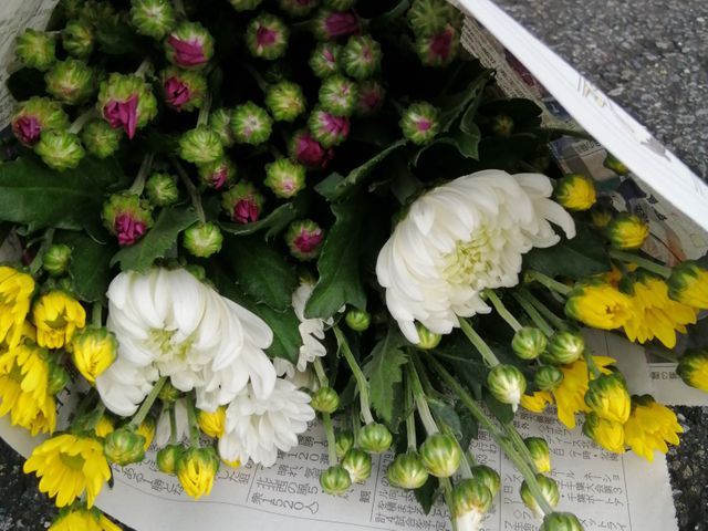 プロの技術でご満足いただけるように心を込めて作業いたします