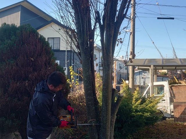 庭木の伐採伐根