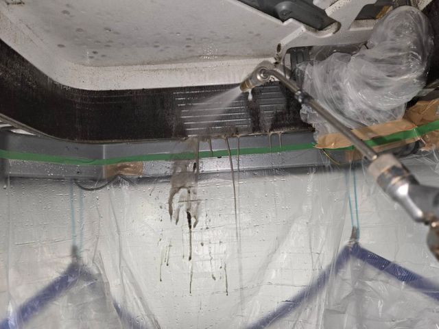 赤ちゃん・妊婦さん・ペット・アレルギーがある方にも安心の洗剤を使用しております♪