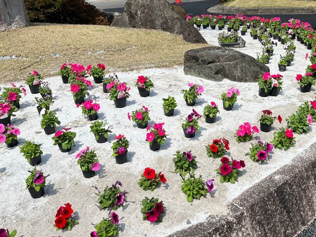 【☆地域密着で営業中☆】安心してお気軽にご相談ください！！