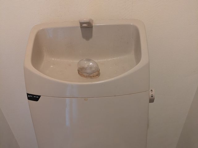 【4月新店オープン記念価格】GW営業します!!/店舗、一般家庭OK