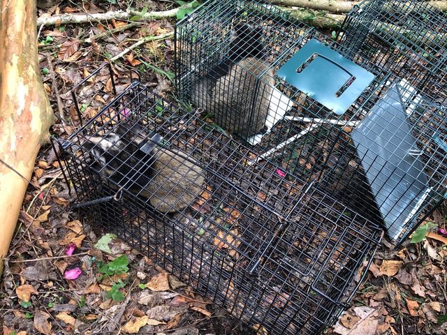 ◎株式会社IKI◎年中無休で即対応◎営業時間外・対応地域外もご相談歓迎