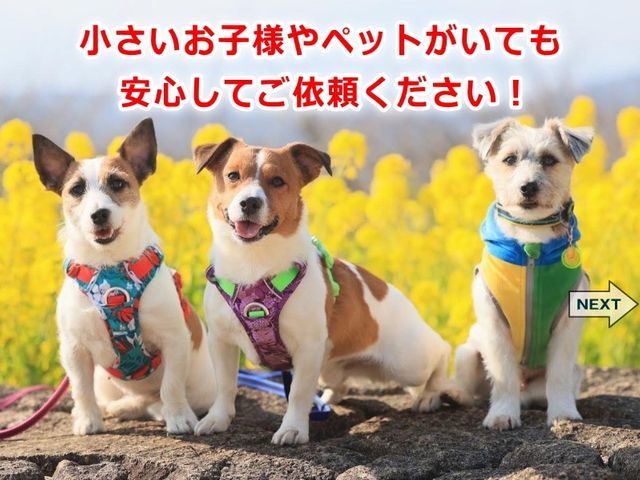 ◉女性も安心❀夫婦で訪問◉強力エアーコンプレッサー高圧洗浄！複数台が大変お得♬