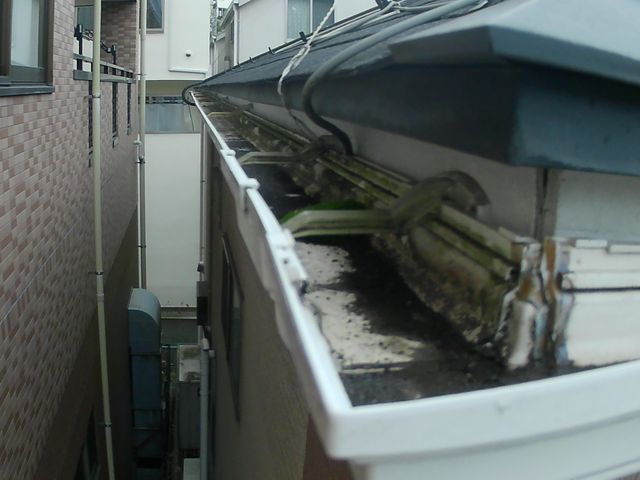 【最短即日】詰まり・破損をプロが丁寧にチェック！