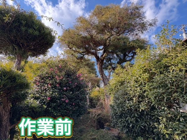 お客様の笑顔を見る為に！庭木の剪定おまかせください！お客様のニーズにお応えします