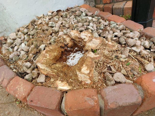 ◇◆お庭のお悩みを解決致します！◆◇お庭の木の伐採、抜根