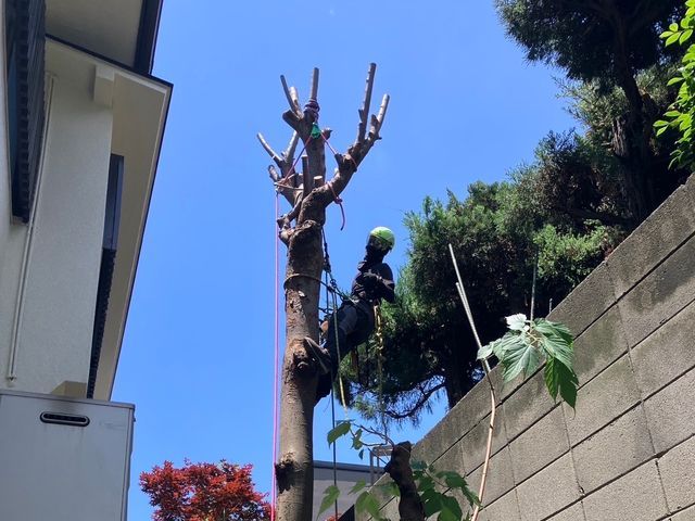 即レス即対応！造園施工管理技士が住宅から公共事業まで多数実績で安心