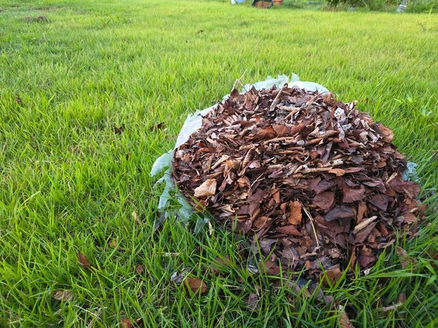 【落ち葉清掃】11月末まで特価☆/どんな場所でも相談可/地元密着◎◎