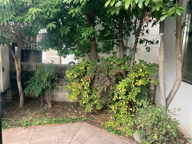 あなたのお庭を綺麗に！元職人による丁寧な接客と技術！