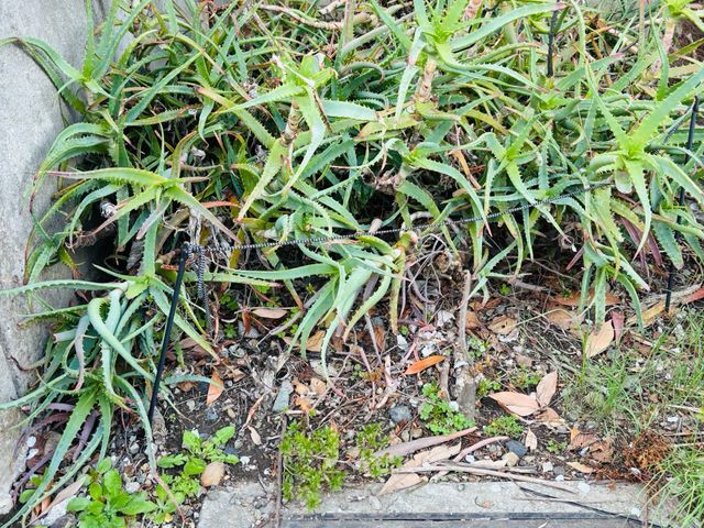 プロの技術でご満足いただけるように心を込めて作業いたします