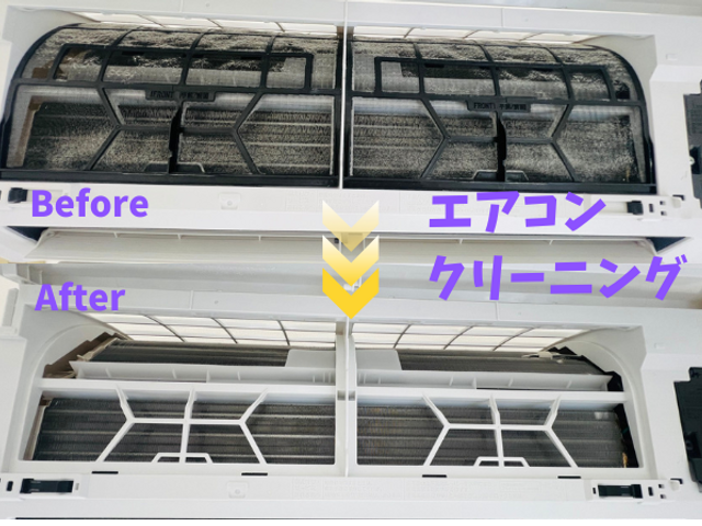 ZIP出演実績あり！12年の経験と1万件超の相談実績で安心の女性スタッフ対応