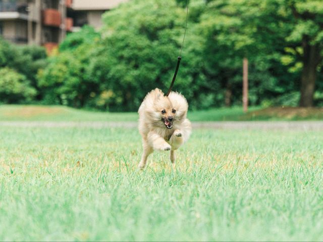 プロの技術でご満足いただけるように心を込めて作業いたします