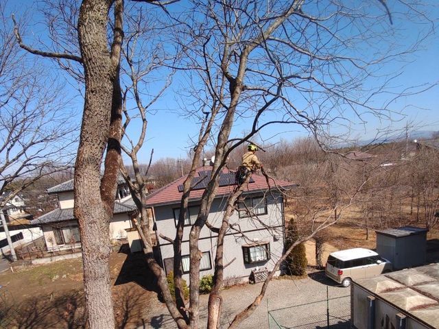 【10~30m】高木作業もお任せ下さい