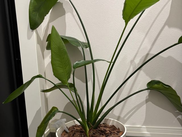 お客様のお力になります！経験と知識を活かして迅速丁寧に作業いたします