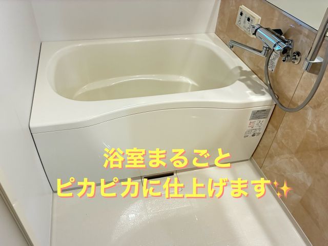 頑固なカビ・水垢・石鹼カスを徹底洗浄！エプロン内の高圧洗浄致します。