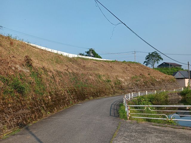 草刈り(機械刈り)