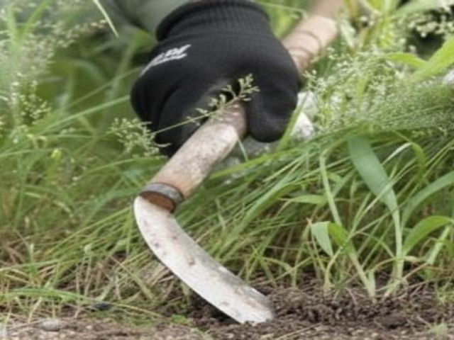 庭・空き地の雑草対策なら【まちの便利屋さん】本気の草むしり◉除草剤散布つき