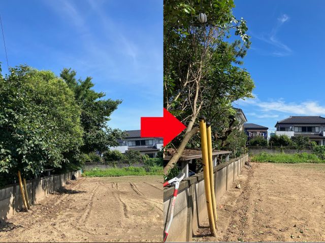 年間100件の実績！レスキュー隊経験者が安全第一で美しく仕上げます