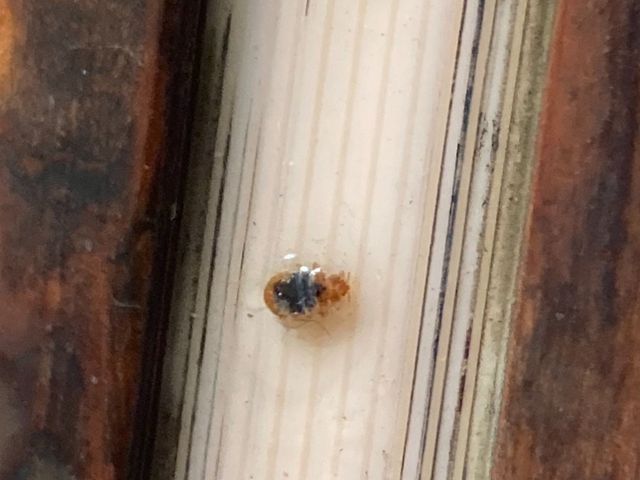 研修を積んだ自社スタッフが丁寧に対応！