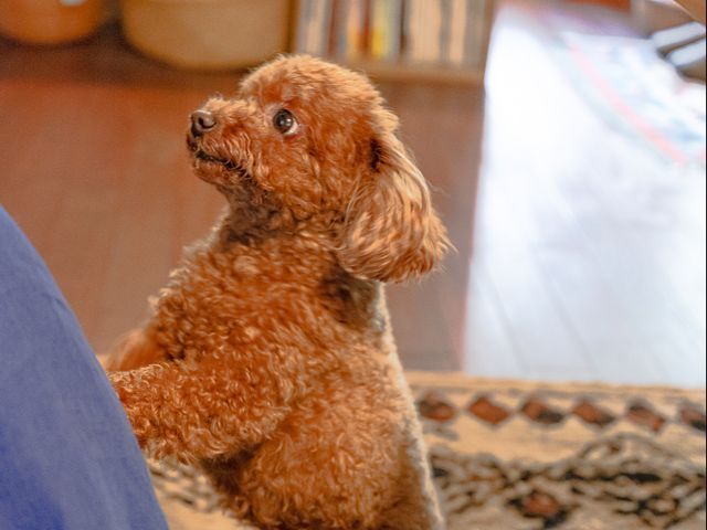 写真印刷10枚無料☆プロの技術でご満足いただけるように心を込めて撮影いたします