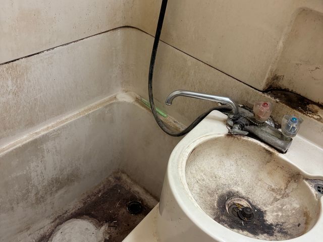 浴室クリーニング【カビ・水垢を根本から整える専門洗浄】