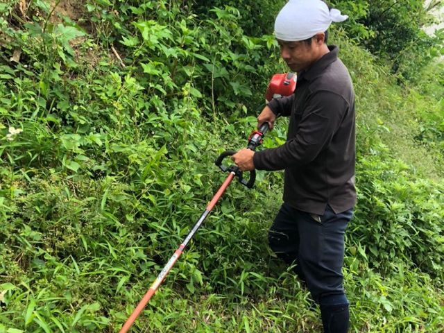 《植木屋を始めてから10年目》神奈川県を中心に対応中◎
