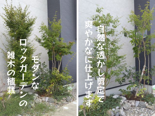 【職人歴10年・1級技能士】自然な透かし剪定でお庭を美しく仕上げます。