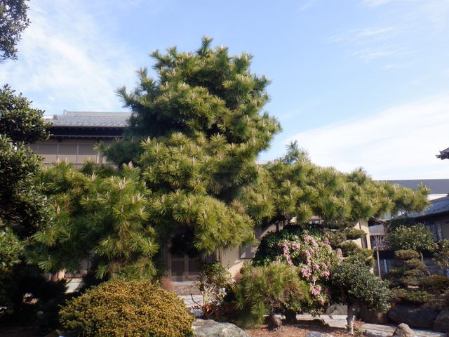 《平日・土ご予約歓迎！》経験豊富な職人が揃ってます！何でも当店へお任せください！