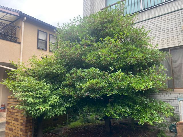 《平日・土ご予約歓迎！》経験豊富な職人が揃ってます！お問い合わせからでもどうぞ！