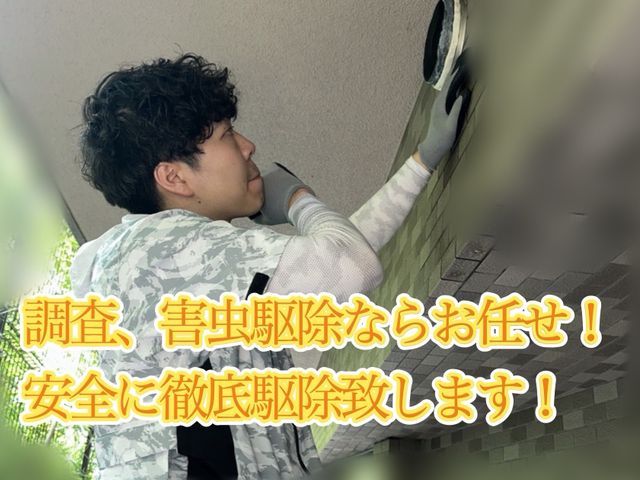 即日対応可能！有資格者による毛虫駆除、対策！もう見たくないを実現します！