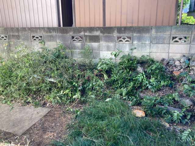 【☆面倒な草刈り代行します☆】お気軽に相談ください！！