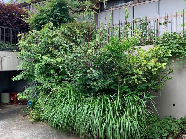 お客様のご要望に可能な限りお応えする柔軟対応の自社完結サービス