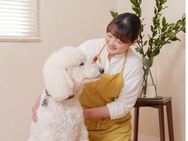 老犬・老猫ホーム運営◎シニアも大型犬も安心して任せられるペットシッター