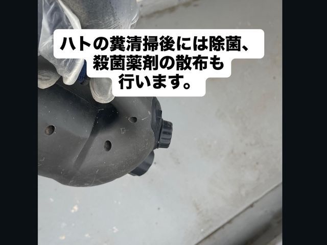 ★即日対応当日作業も可能★大手経験10年の信頼と実績