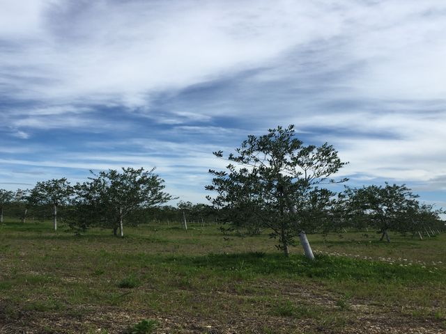 【四日市市発！】営業時間外のご予約についても相談可能です◎