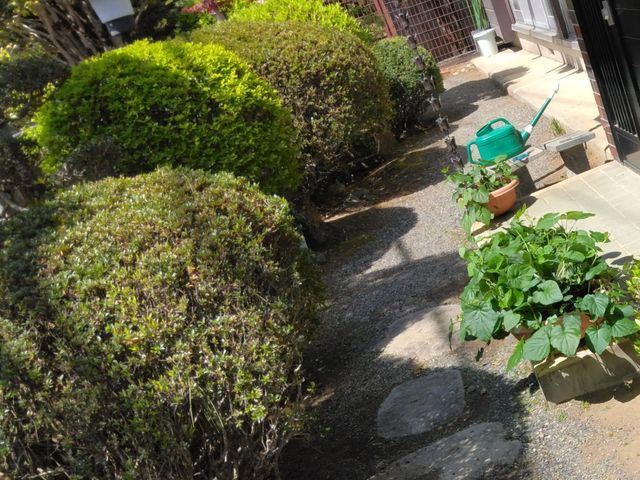 植物の根に酸素を届けます。芝生のエアレーションもお気軽にご相談ください。