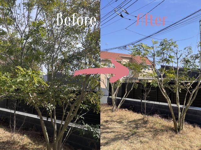 「1本だけでも大丈夫？」大歓迎です！伸びすぎた庭木スッキリ剪定します